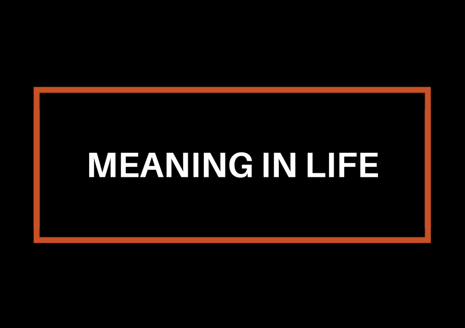 Meaning In Life