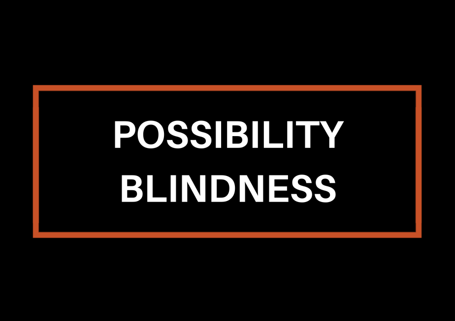 Possibility Blindness